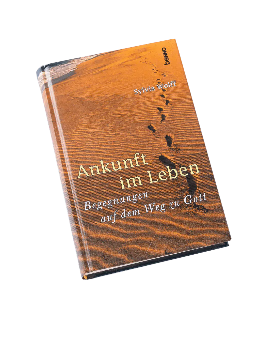 Ankunft im Leben